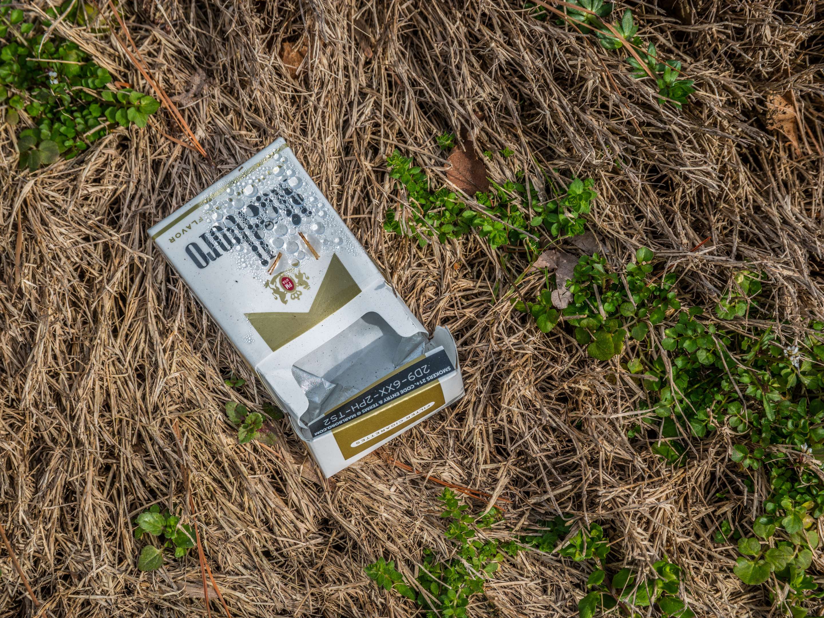 love is like a cigarette lyrics k.d. lang – Love Is Like a Cigarette Lyrics