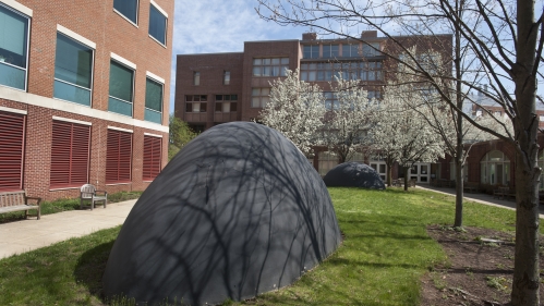 Large rounded black sculpture outside on grass