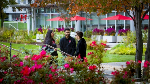 Three students speaking outside behind pink rose bush