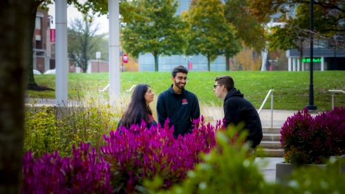 Three students speaking behind purple bush