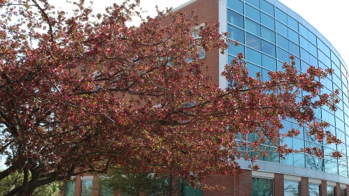 Exterior of Rutgers University School of Public Health.