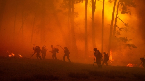 Firefighters managing a wildfire