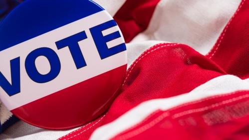 Flag with Vote pin.