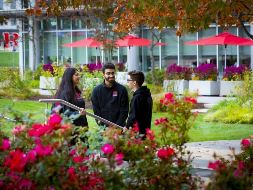 Three students speaking outside behind pink rose bush