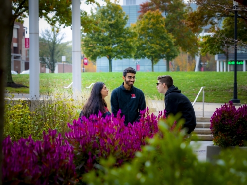 Three students speaking behind purple bush