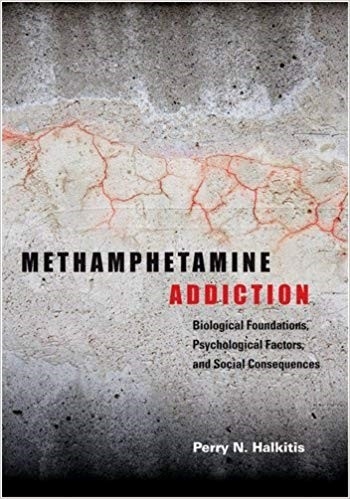 Image of book cover Methamphetamine addiction: