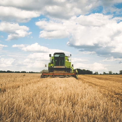 Farming vehicle in a field of grain.